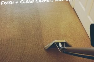 Carpet Cleaning in Dunstable