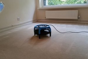 End of Tenancy Carpet Cleaning