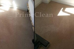 Stain removal – Carpet Cleaning