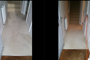 Eco-Friendly Carpet Cleaning