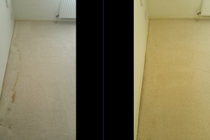 Stain Removal – Trained technicians