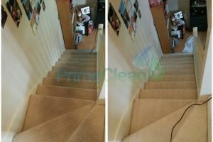 The BEST Carpet Cleaning