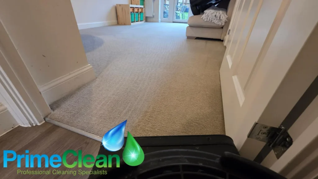 Local carpet cleaning Houghton Regis specialists in uniform